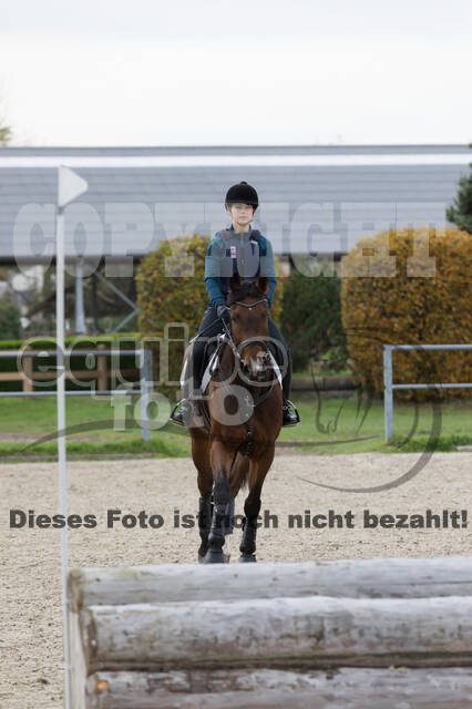 IGV Lehrgang der Sieger der Cups mit Frank Ostholt