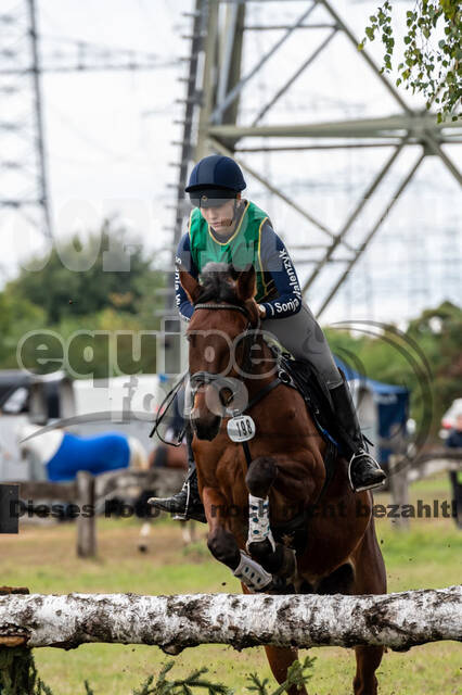 Vielseitigkeit RSV Wesel Obrighoven (26.+27.09.2020)