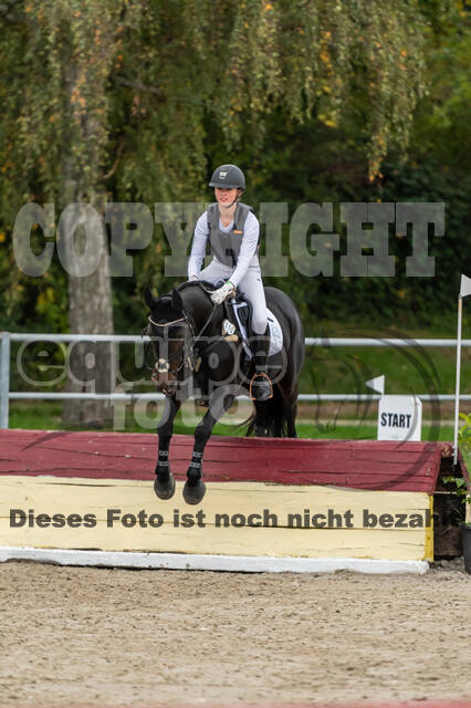 Goldene Schärpe 2020 - Pferde