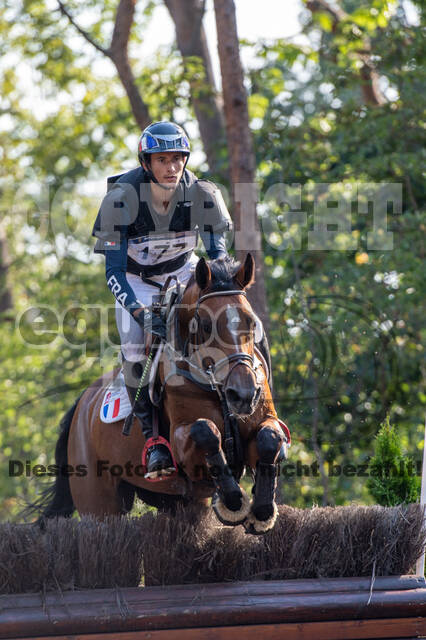 De Peelbergen (August 2020)