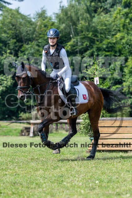 Goldene Schärpe 2021 - Ponys