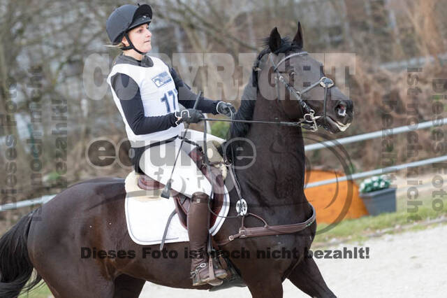 Eventing Langenfeld 2018