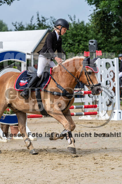 Goldene Schärpe 2021 - Ponys