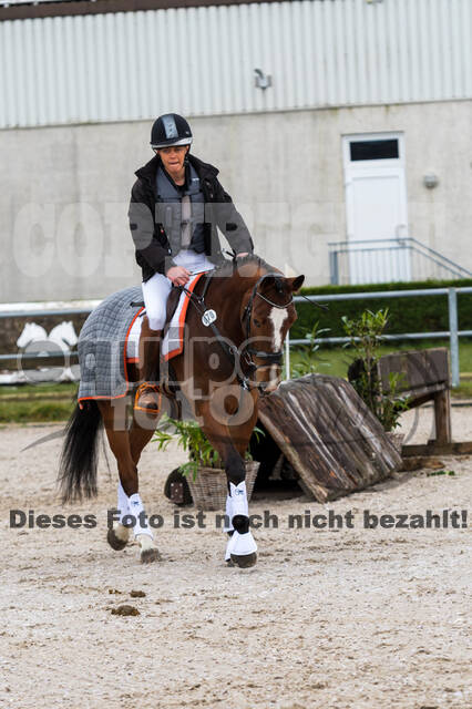 Eventing im Pferdesportzentrum Rheinland (Late Entry 14.03.2022)