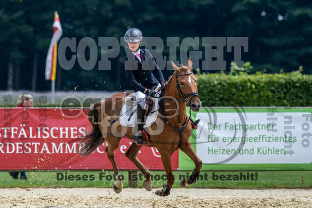 Goldene Schärpe 2021 - Ponys