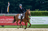 Goldene Schärpe 2021 - Ponys