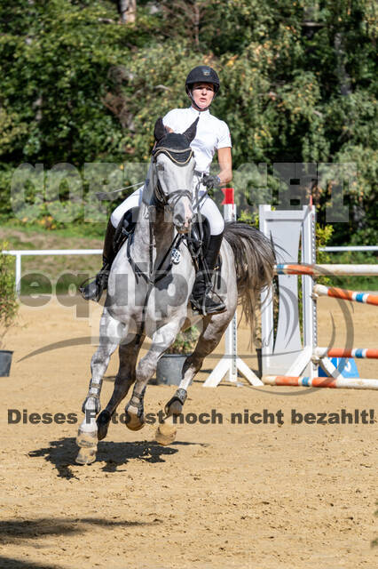 RFV Dinslaken-Hiesfeld (Herbstturnier)