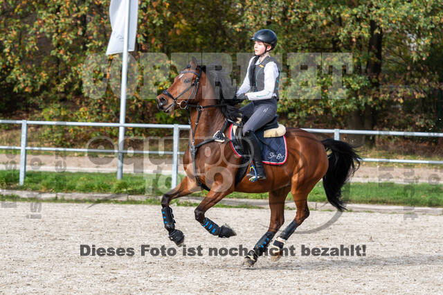 IGV Lehrgang der Sieger der Cups mit Frank Ostholt