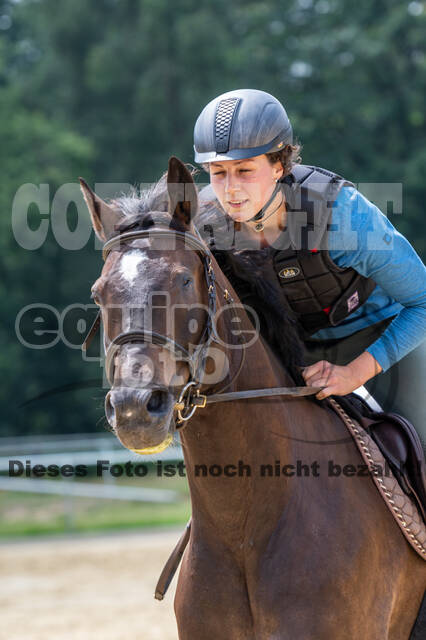 Hunter Geländetraining 10.07.2021 (Sonsbeck)