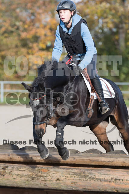 IGV Lehrgang der Sieger der Cups mit Frank Ostholt