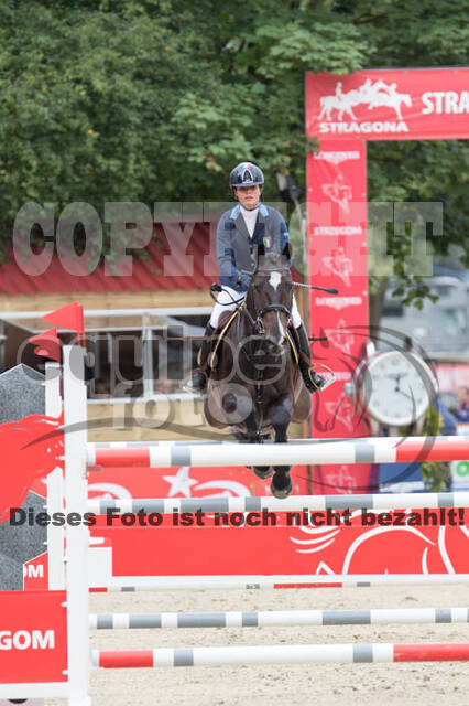 FEI European Championship