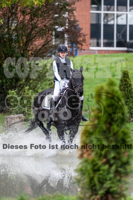 Goldene Schärpe 2020 - Pferde