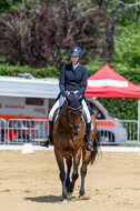 Westerstede Horse Trials 2021