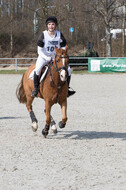 Eventing Langenfeld 2018