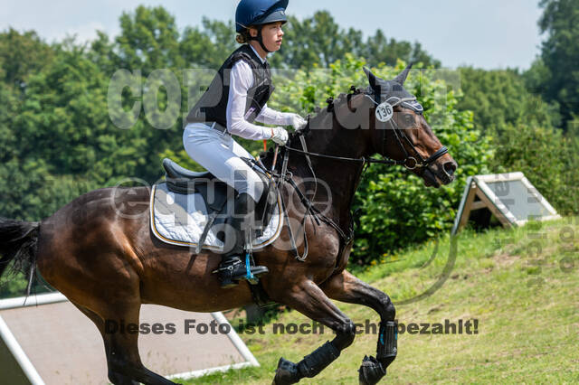 Goldene Schärpe 2021 - Ponys