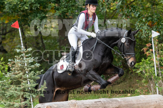 Goldene Schärpe 2020 - Pferde