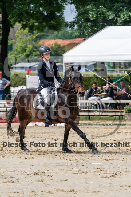 Goldene Schärpe 2021 - Ponys