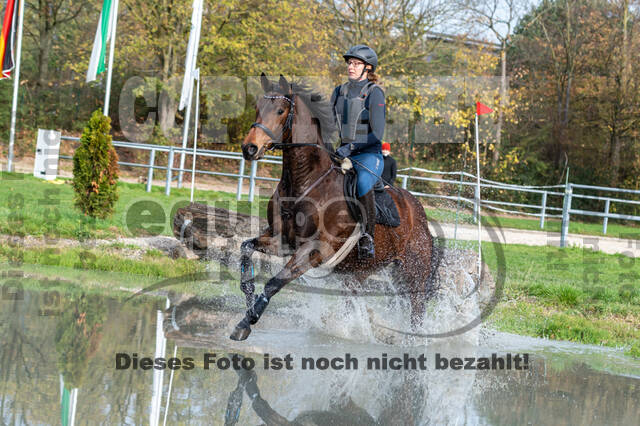 IGV Lehrgang der Sieger der Cups mit Frank Ostholt
