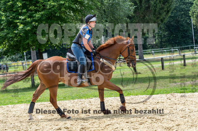 Hunter Geländetraining 10.07.2021 (Sonsbeck)