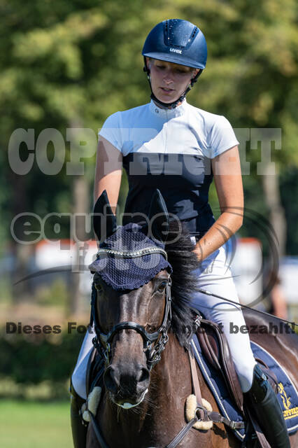 Kronenberg - De Peelbergen (August 2020)