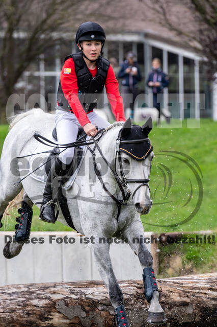 Goldene Schärpe 2020 - Pferde