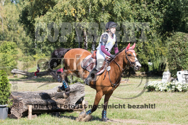 Vielseitigkeitsturnier RSV St. Hubertus Wesel Obrighoven