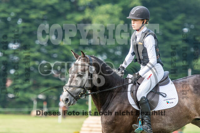 Goldene Schärpe 2021 - Ponys