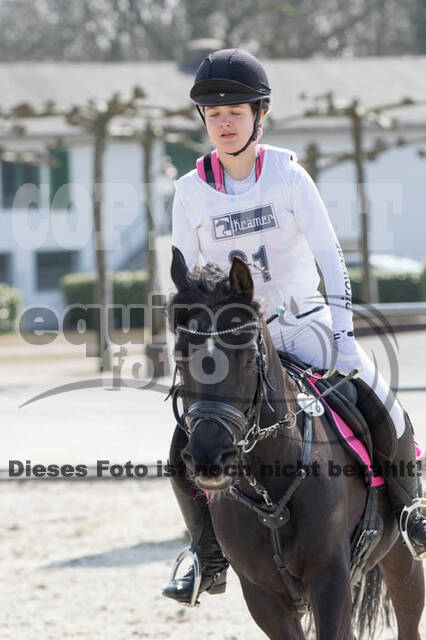 Eventing Langenfeld 2018