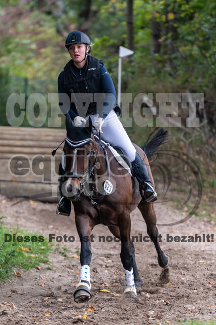 Goldene Schärpe 2020 - Pferde