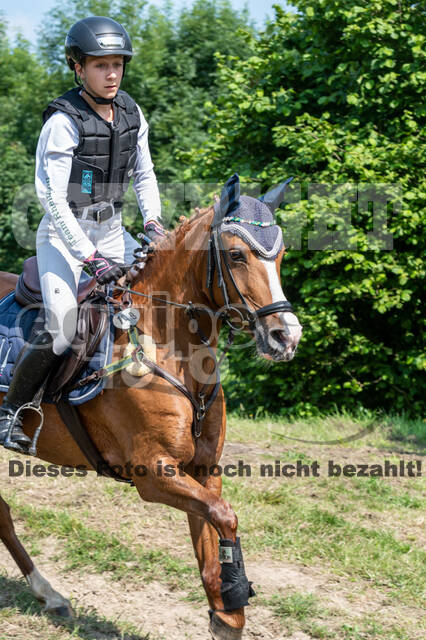 Goldene Schärpe 2021 - Ponys