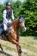 Goldene Schärpe 2021 - Ponys