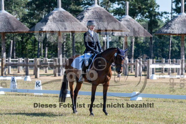 Kronenberg - De Peelbergen (August 2020)