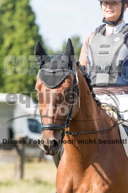 Vielseitigkeitsturnier RSV St. Hubertus Wesel Obrighoven