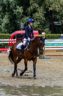 Goldene Schärpe 2021 - Ponys