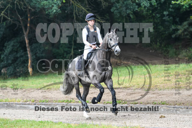 Late-Entry-Vielseitigkeit Langenfeld (11.+13./14.06.2020)