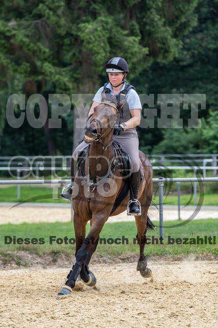 Hunter Geländetraining 10.07.2021 (Sonsbeck)