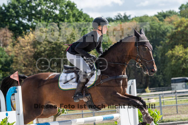 Landesturnier Rheinland, Vielseitigkeit, 22.+23.08.2020