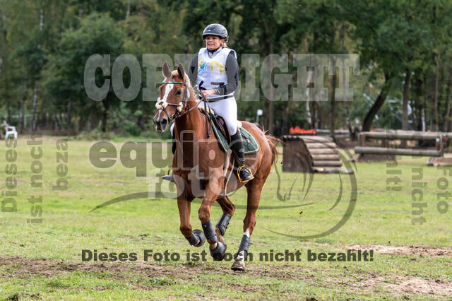 Vielseitigkeit RSV Wesel Obrighoven (26.+27.09.2020)