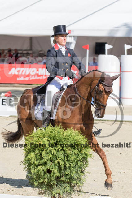FEI European Championship Eventing 2017