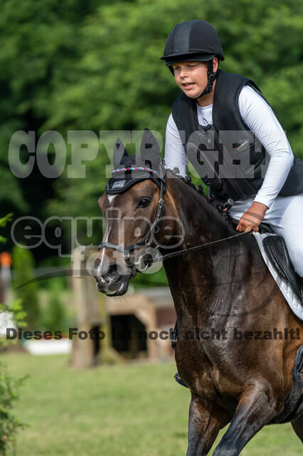 Goldene Schärpe 2021 - Ponys