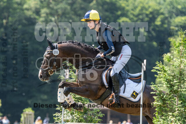 Goldene Schärpe 2021 - Ponys