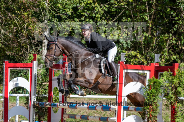 RFV Dinslaken-Hiesfeld (Herbstturnier)