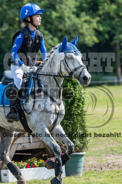 Goldene Schärpe 2021 - Ponys