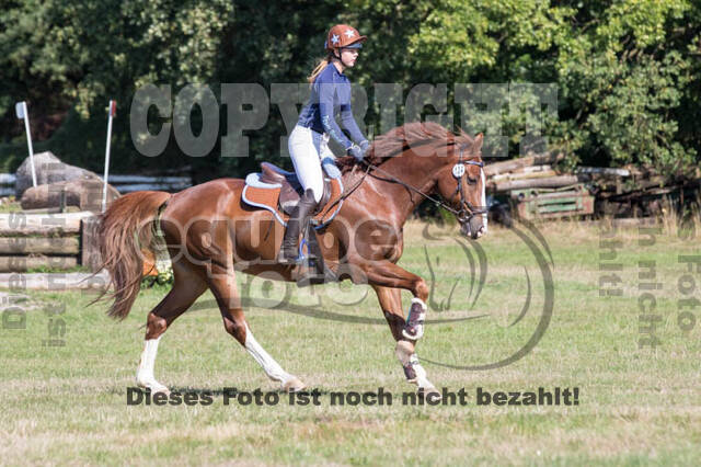 Vielseitigkeitsturnier RSV St. Hubertus Wesel Obrighoven