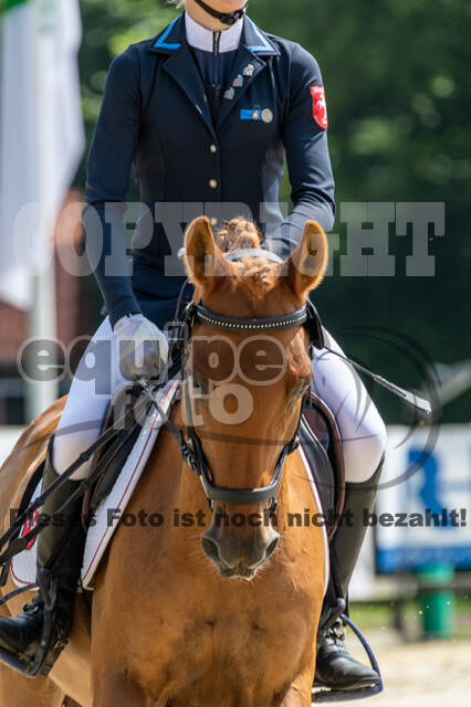 Goldene Schärpe 2021 - Ponys