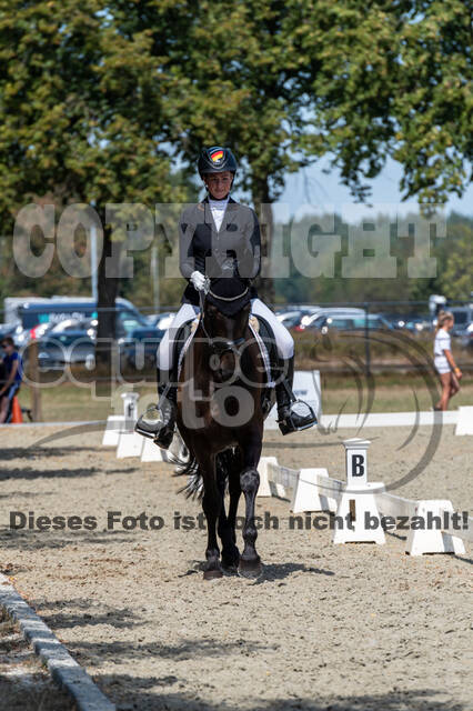 Kronenberg - De Peelbergen (August 2020)