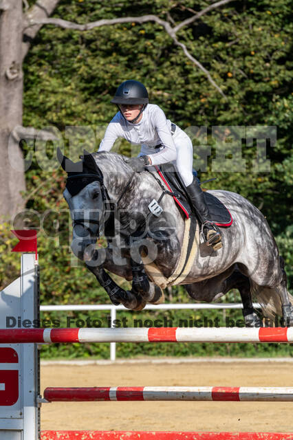 RFV Dinslaken-Hiesfeld (Herbstturnier)