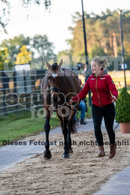 Deutsche Meisterschaft Vielseitigkeit (Luhmühlen)