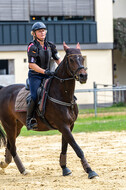 Hunter Geländetraining 10.07.2021 (Sonsbeck)