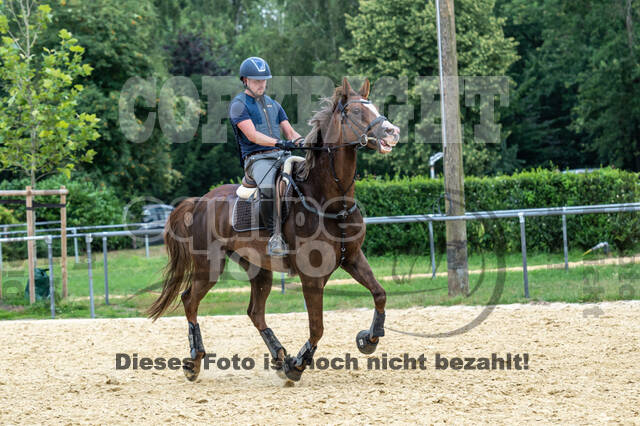 Hunter Geländetraining 10.07.2021 (Sonsbeck)